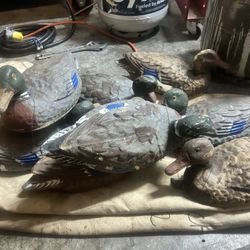 Antique Decoys 