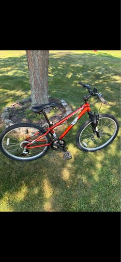 26” Raleigh mountain bike (small frame)