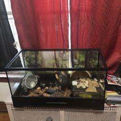 Full Snake Tank