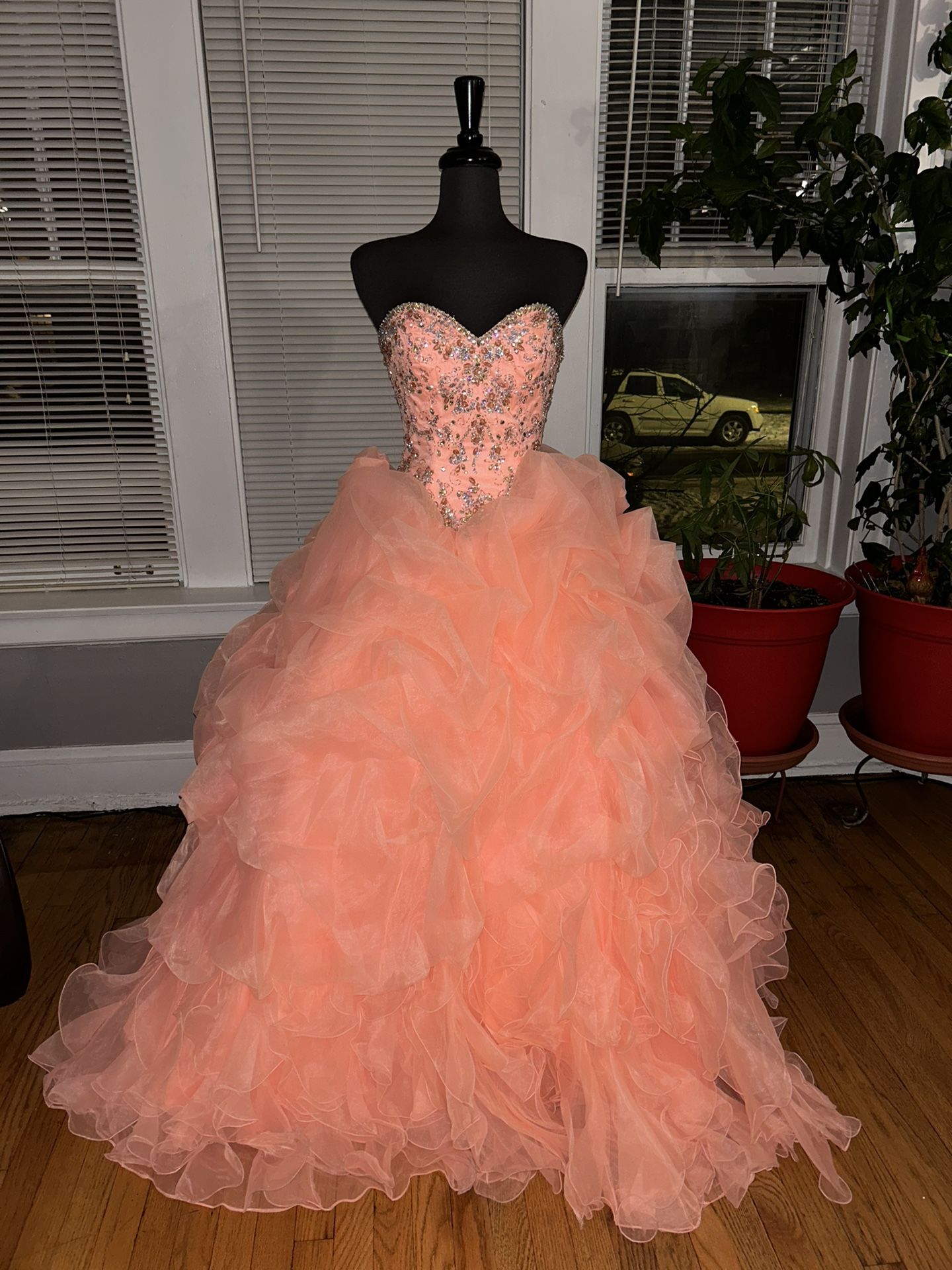 Quinceañera Dress 