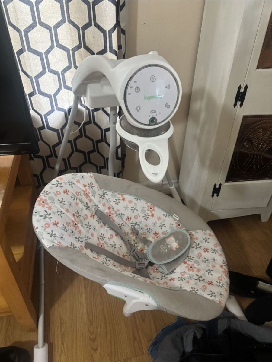 Ingenuity Baby Swing