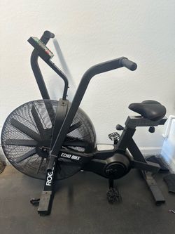 Rogue Echo Bike