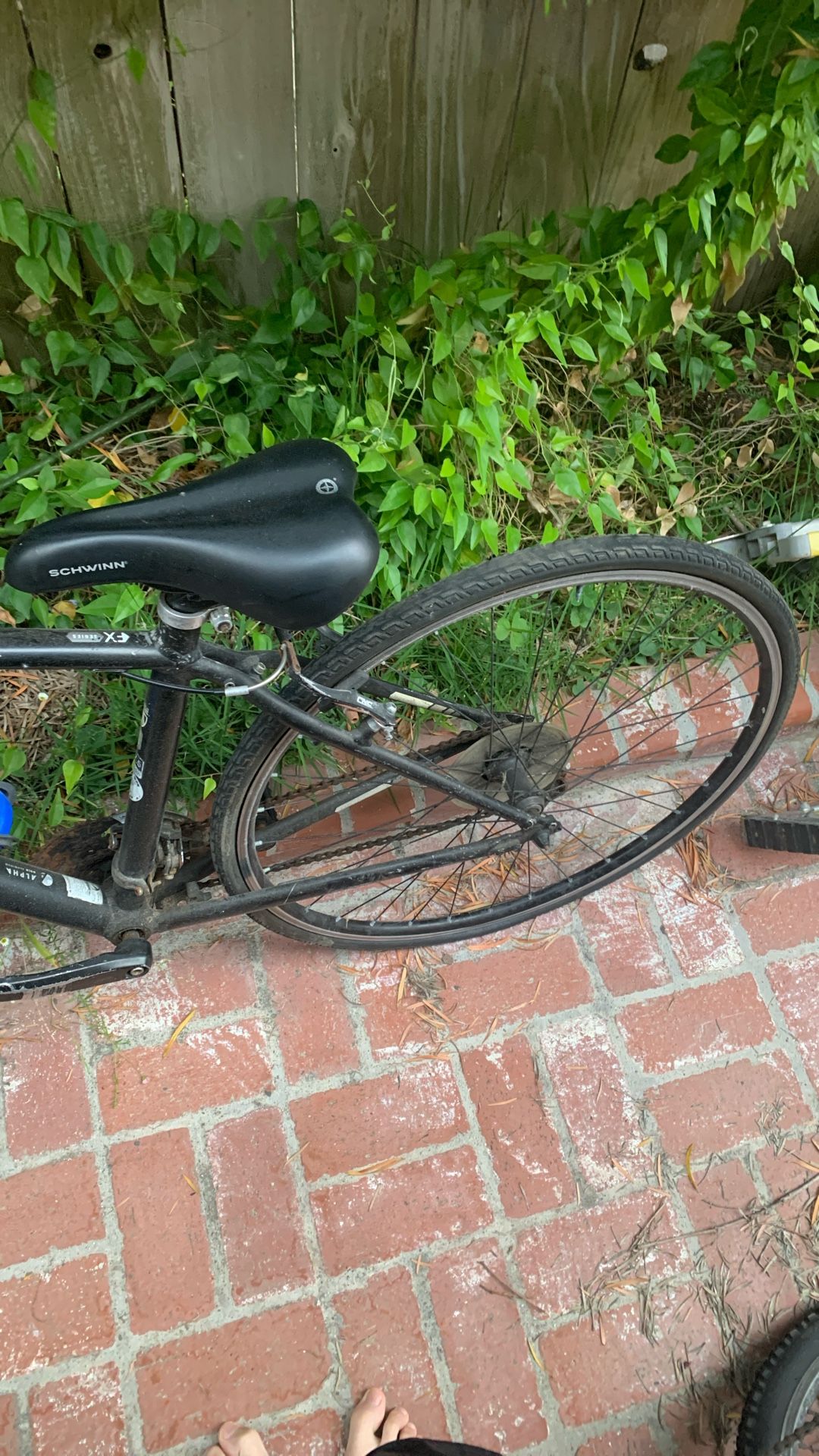 Trek 7.3 Bike