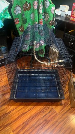 Bird Cage