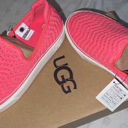 Brand New Uggs 