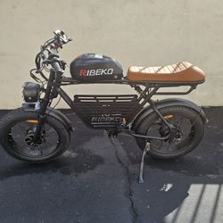 Electric Cruiser Bike 1000W 32MPH 