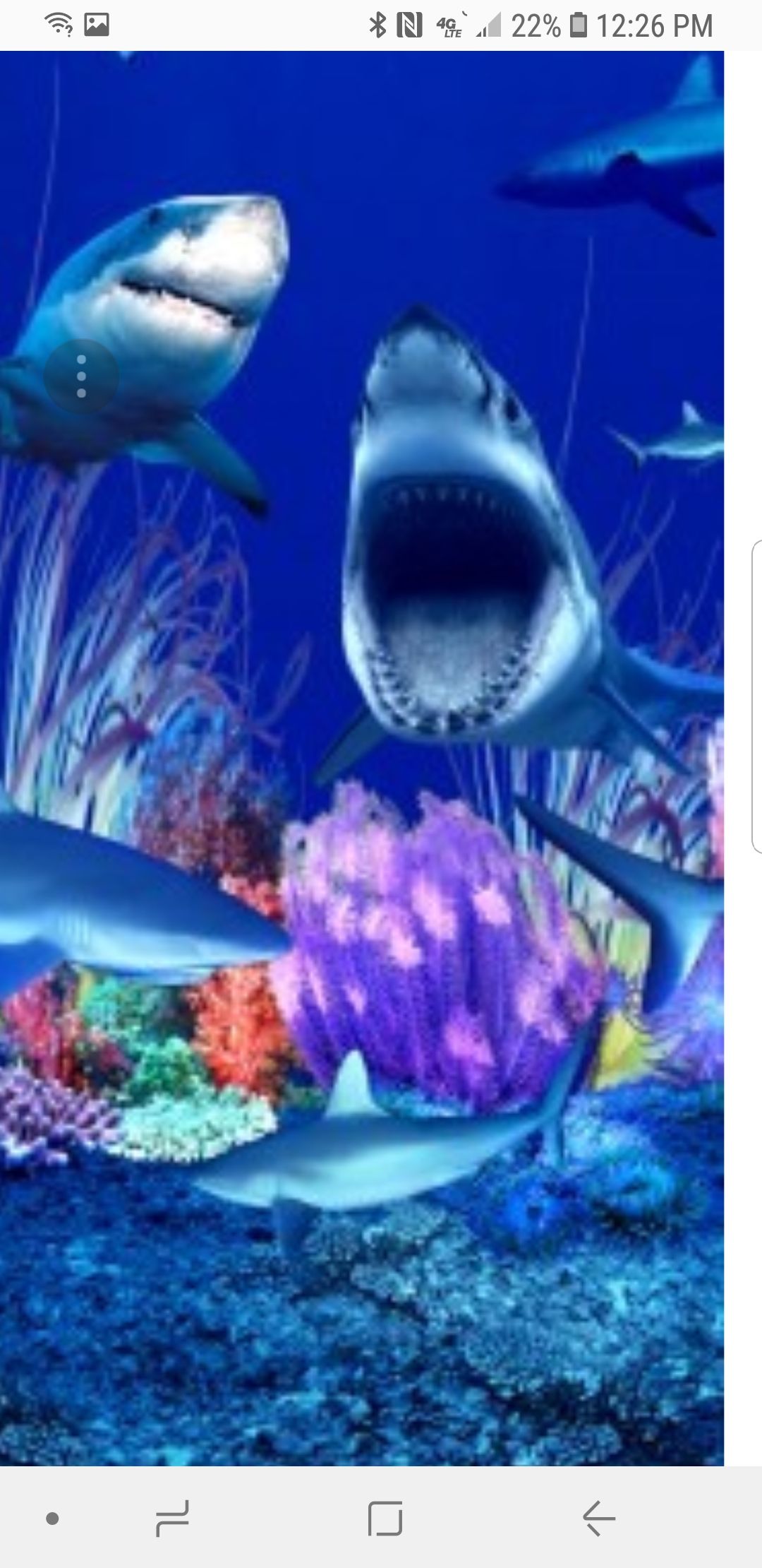 Shark Nation pool liner