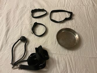 Dog Collars, Leash, and Stainless Steel Bowl Set