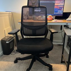 flexispot office chair