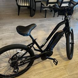IZip E3 Zuma 48v E-bike TEMPE