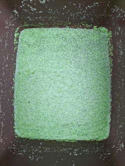 Duck weed