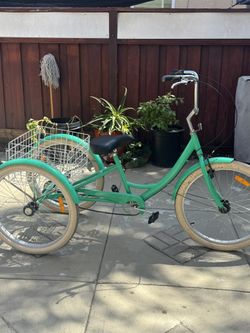 Adult Tricycle Bike