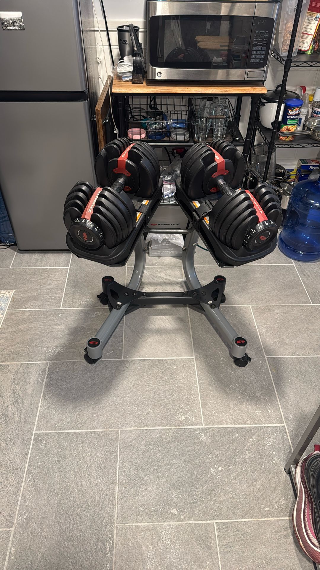 Bowflex 552 Weights With Stand