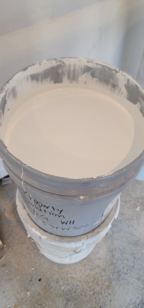 Extra White Paint. $60