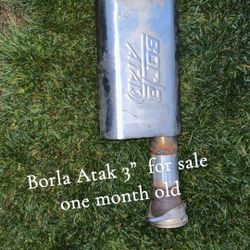 Borla Muffler 