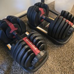 Bowflex Adjustable Dumbbells 