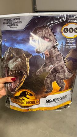 Dino costume