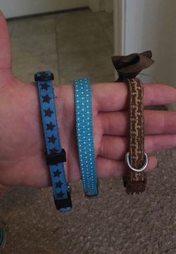 Set of 3 small pet collars.