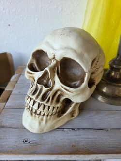 Resin Skull for Halloween