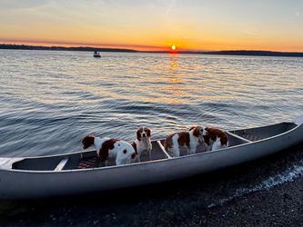 17 Grumman Canoe