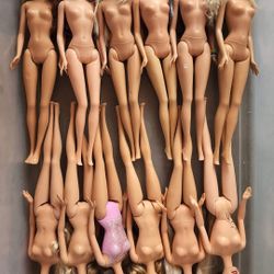 Full Box Of Barbies, More Than 100 Barbies 