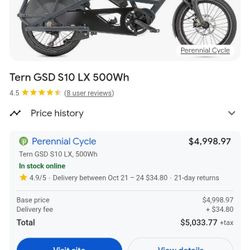 Tern GSD S10 Lx Electric Bike
