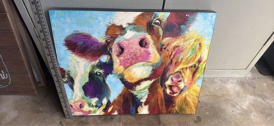 Cows picture