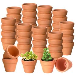 50pc Mini Terracotta Pots