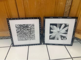 Frame