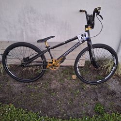 BMX Cruiser Staystrong Expert XL