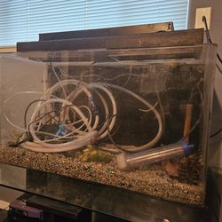40gal Rounded Corners Fish Tank(no Leaks)the Tank Is Made Of Plexiglass (clear)