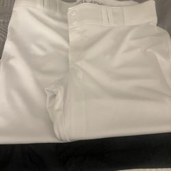 Champro Softball pants