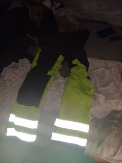 Neon pants