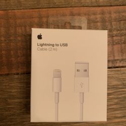 Apple Oem Charger 