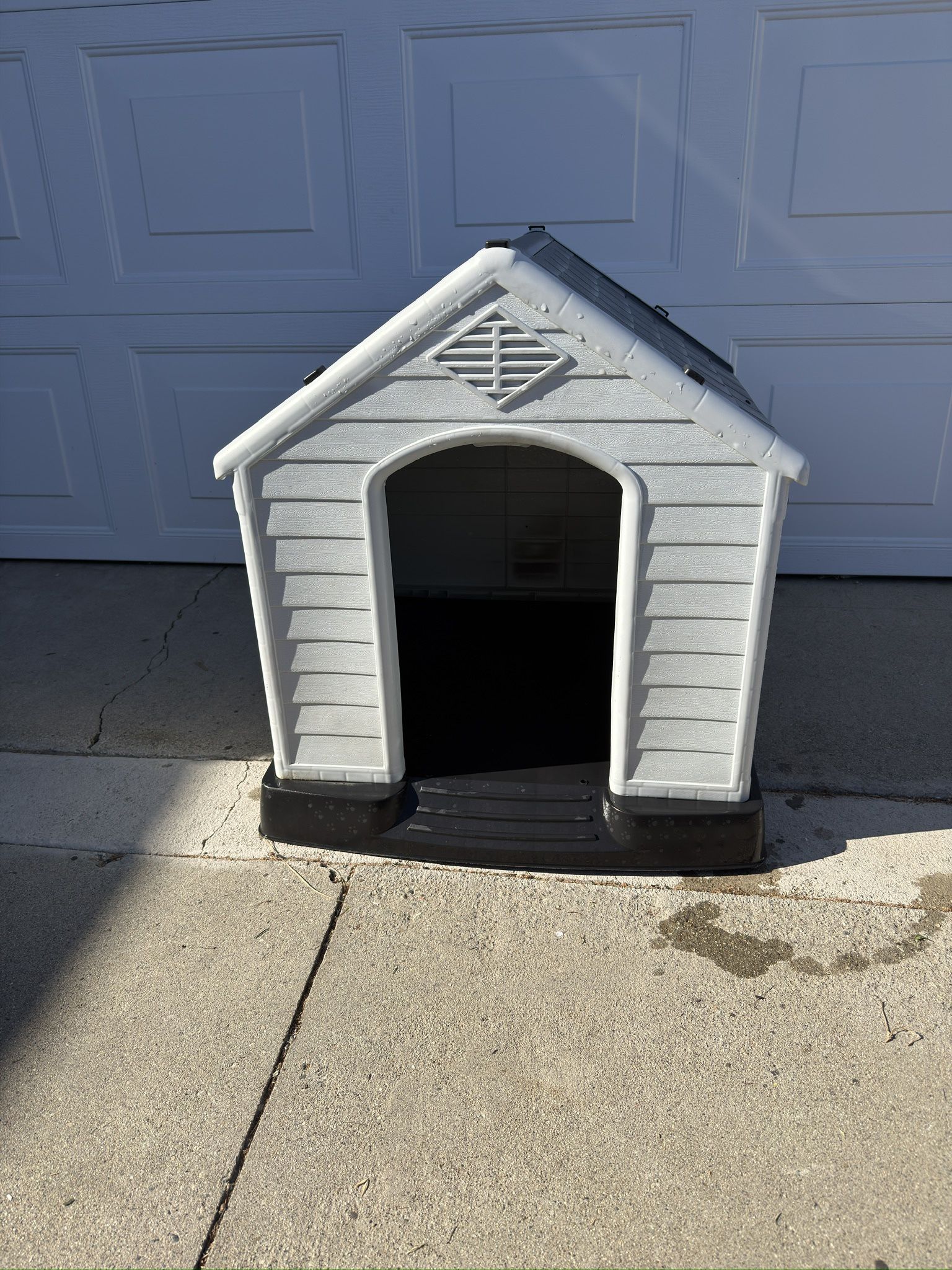 Dog House