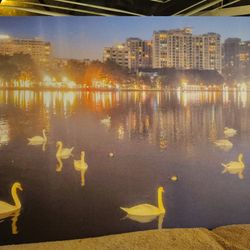 Canvis Painting Of Lake Eola , Downtown!!