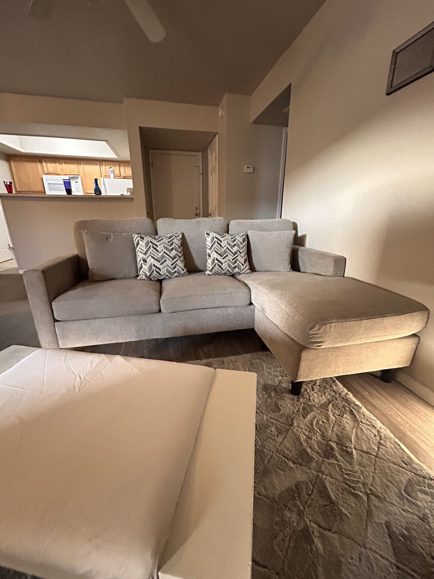 Grey Sectional Couch