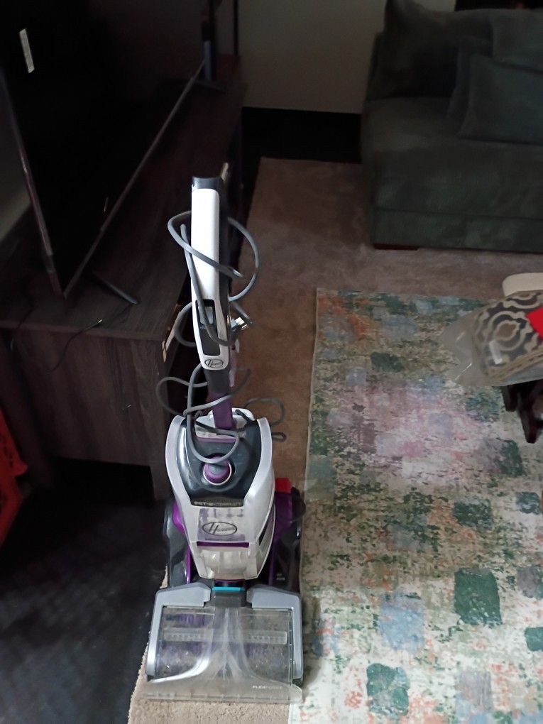 Amazing Carpet Cleaner