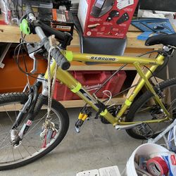 Vintage Mountain Bike  By GT  