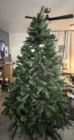  Christmas Tree 7.5 Ft Tall Pine 