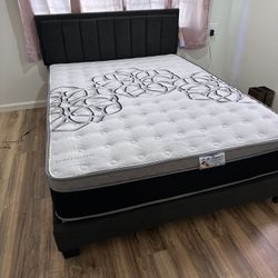 New Queen Orthopedic Mattresss $200