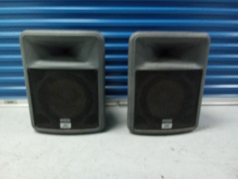 SPEAKER PEAVEY PASIVE PROFESIONAL EXCELLENT CONDITIONS