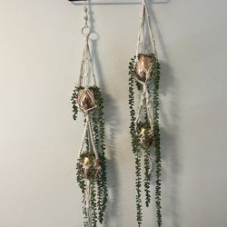 Macrame Hanging Planters