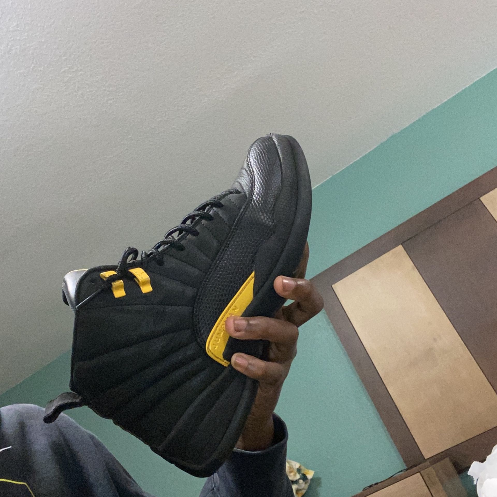 jordan 12s