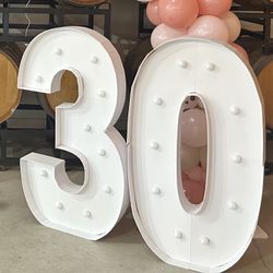 LED Neon number sign