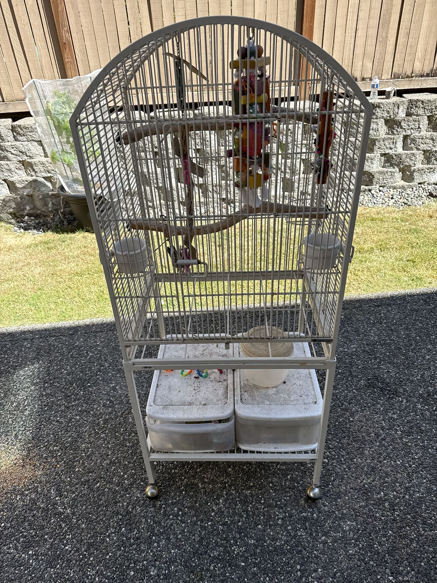 Bird Cage
