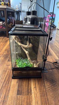 Reptile Habitat