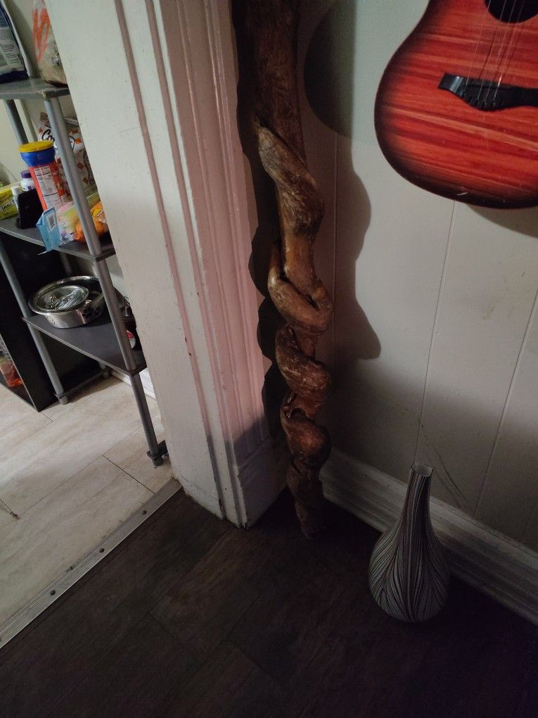 6 Ft 10 Inches Around The Perfect Piece Of Wood For That Exotic Animal Or That Wood Master Looking To Carve Out The Next Master Peice