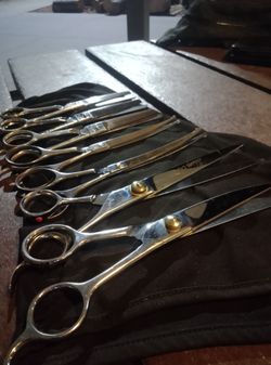 Professional grooming shears