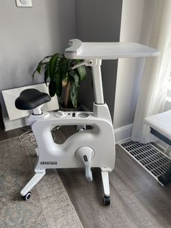 Exercise Bike / Standing Desk / Bike Desk / Flexispot / Flexispot Desk